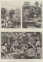 Die Looshai-Expedition